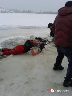 На середине тагильского пруда лошадь провалилась под лёд