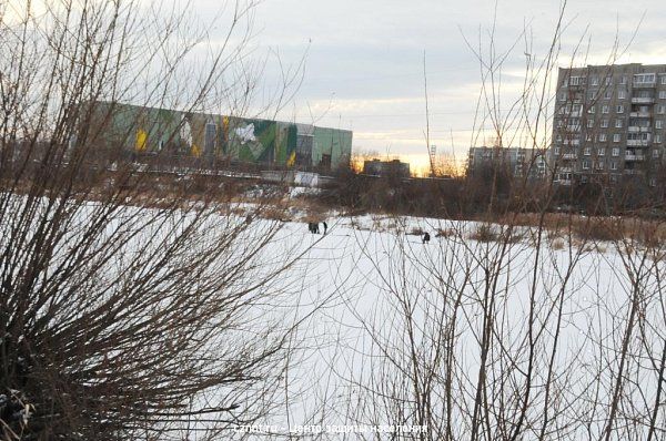 Мониторинг ледовой обстановки  на реке Тагил в районе ул. Береговая-Краснокаменская